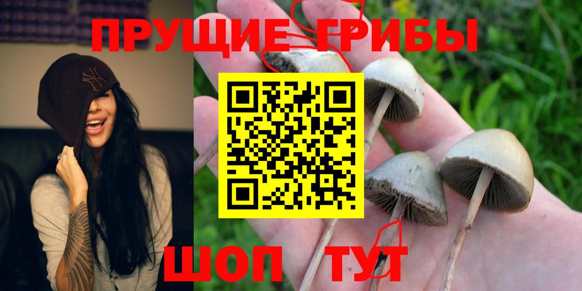 Псилоцибиновые грибы MAGIC MUSHROOMS Протвино